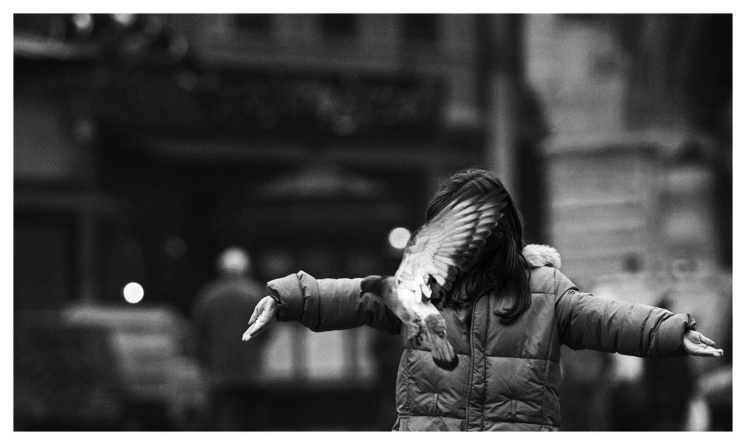 Girl and doves Part II, Bologna, 2006