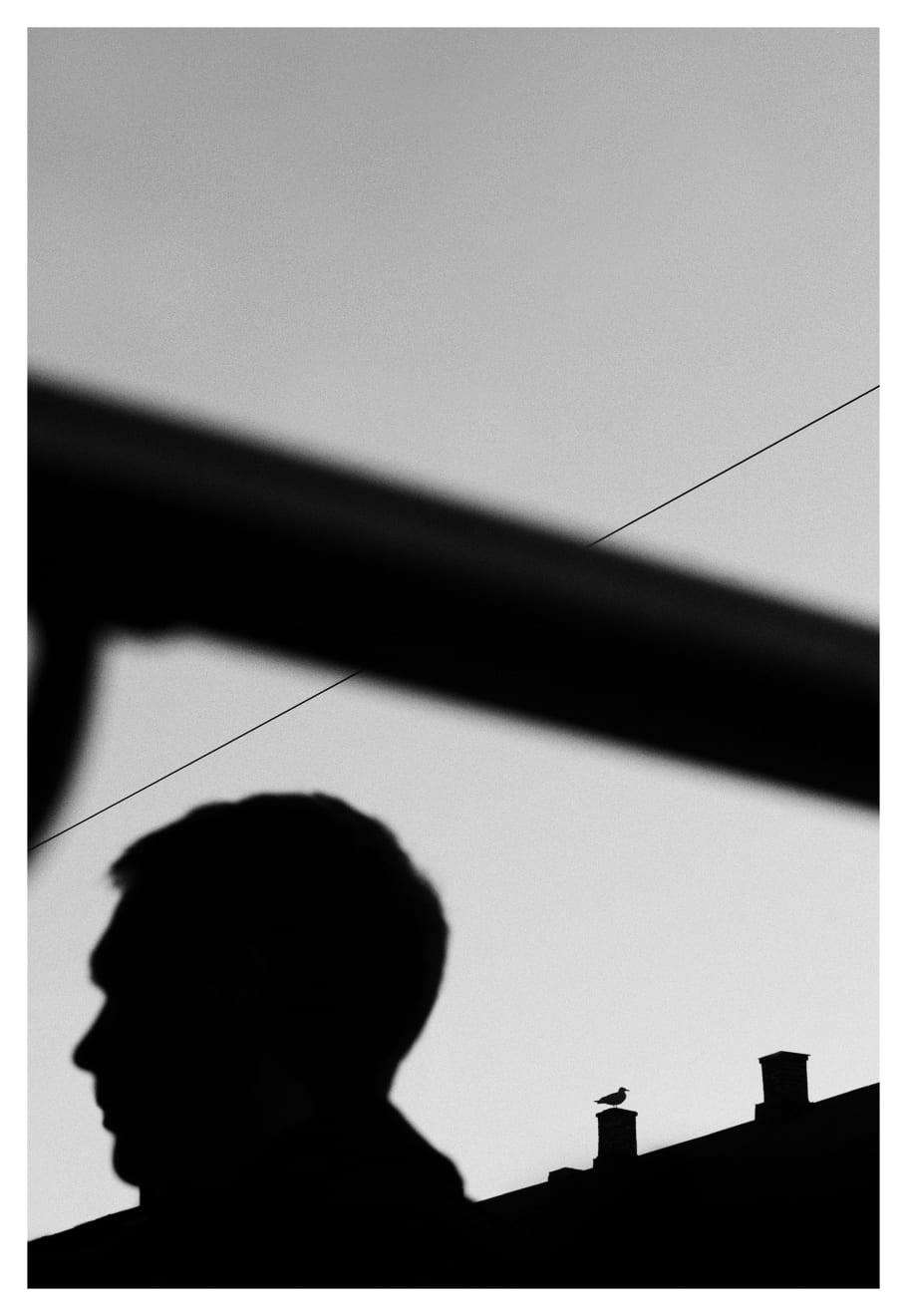 Man and bird, Oslo, 2017