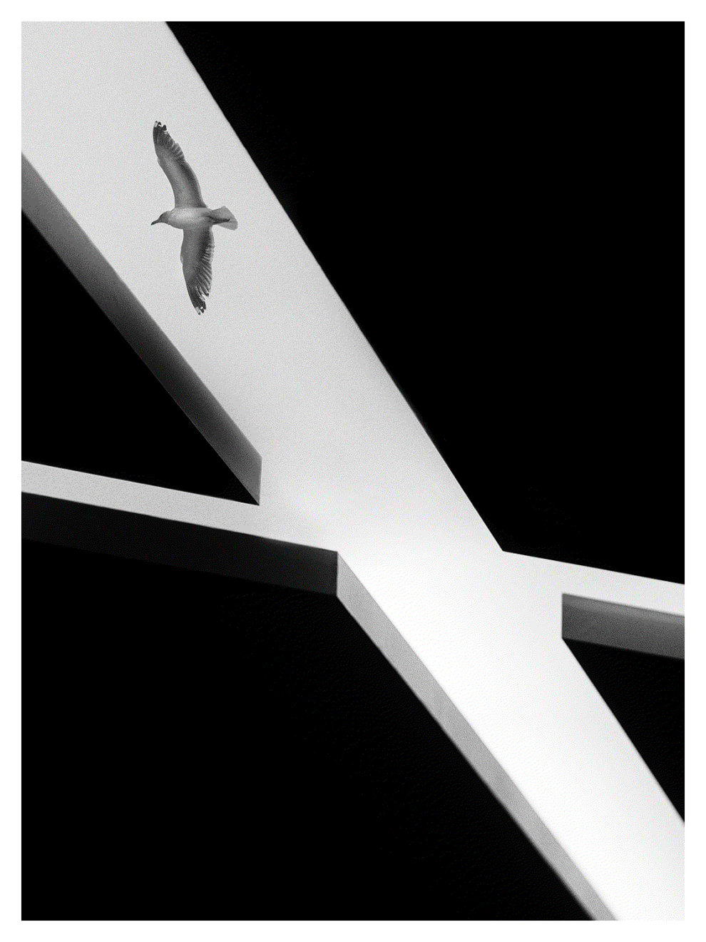 Flying over Berlin, 2019