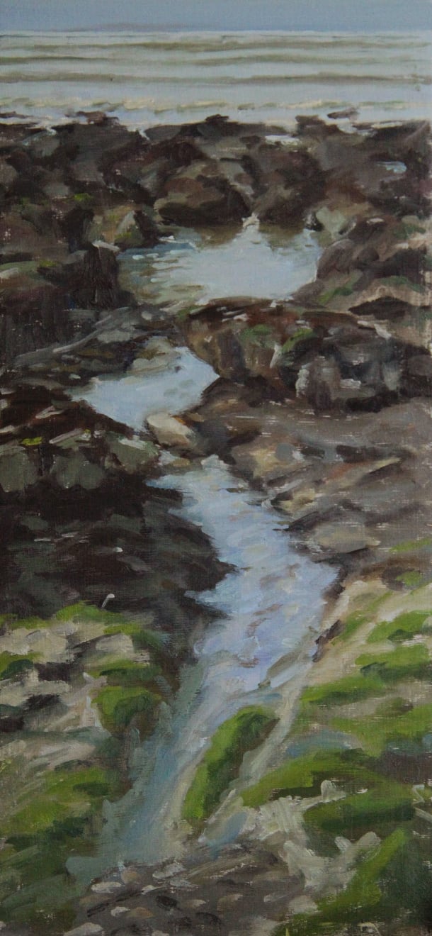 Shawn Lee, Rock Pool on Rottingdean Beach, 2024