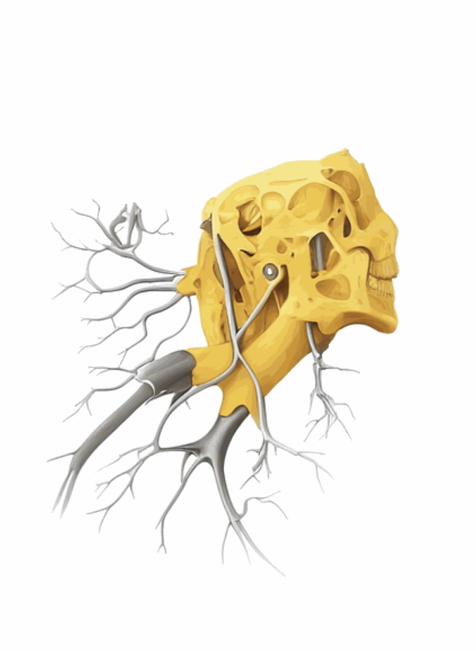 Nick Ervinck, AGRIEBLOAS, 2023