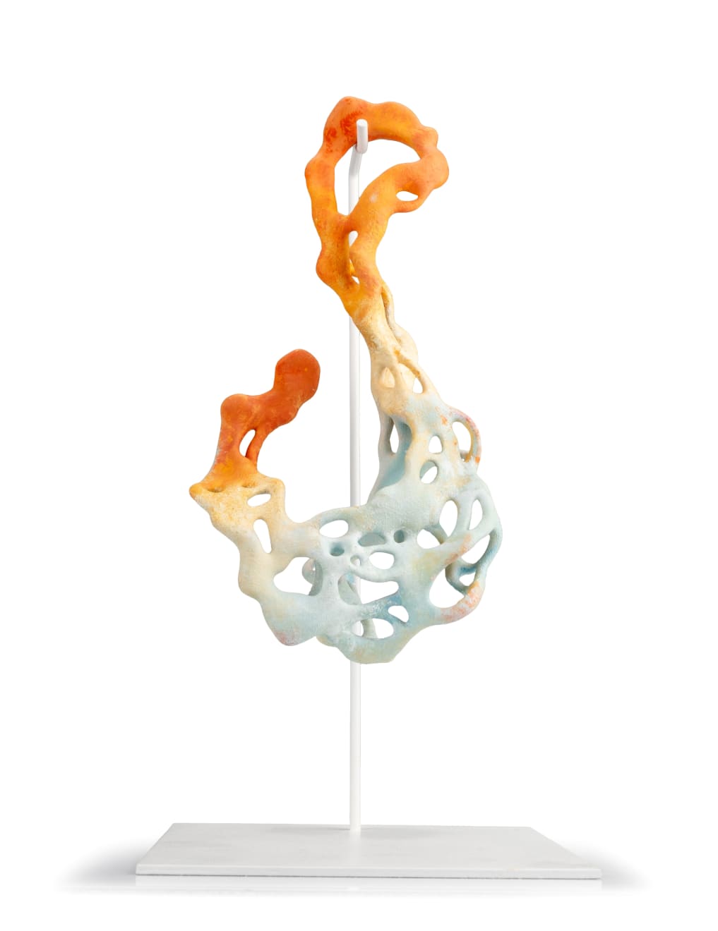 Nick Ervinck, NOPRAKOS, 2024