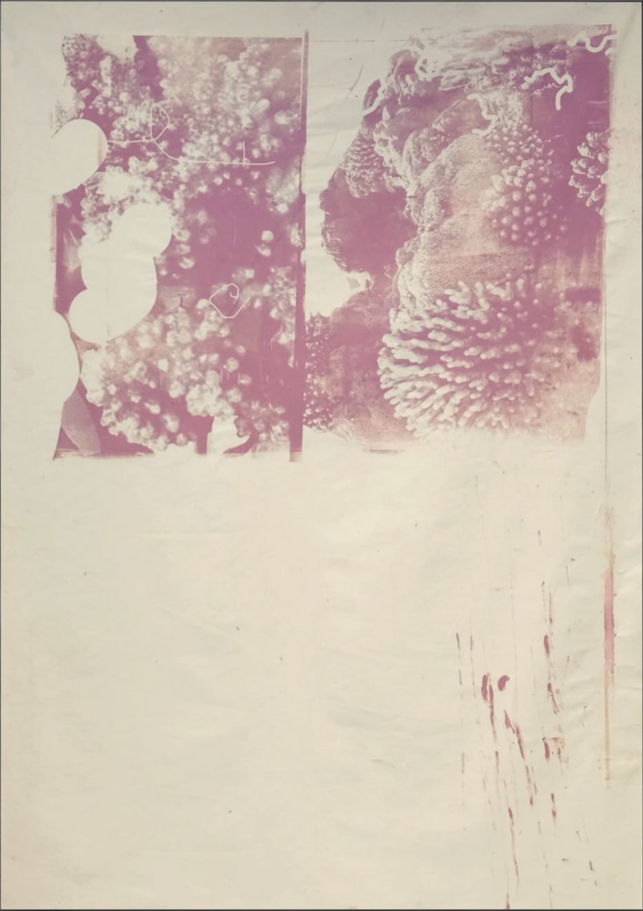 Lieven Deconinck, Untitled (DubblePink), 2024