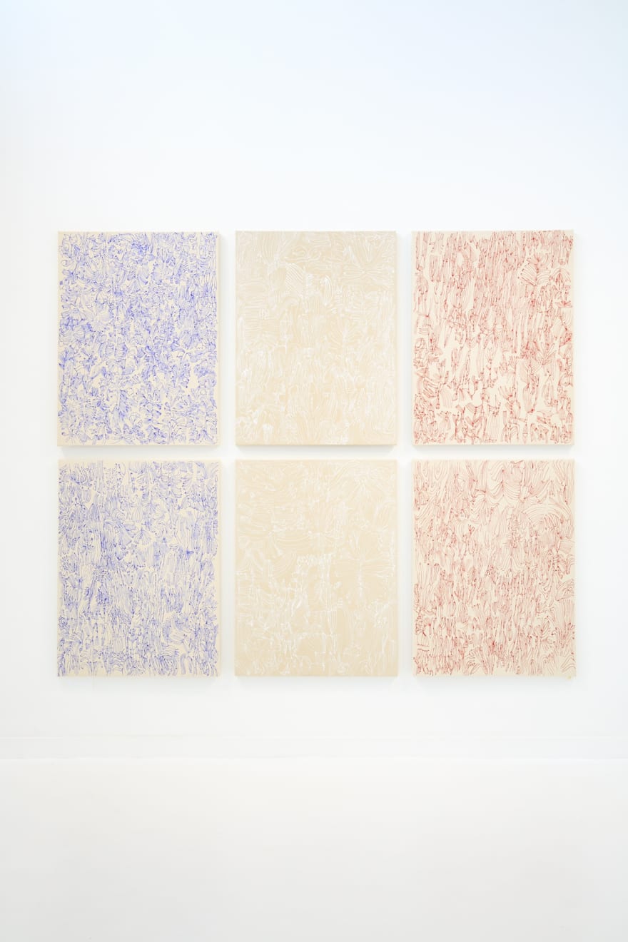 Sarah Giannobile, "Tiger Moth", installation view