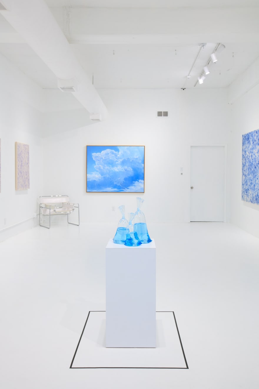 The Blue Edit, installation view
