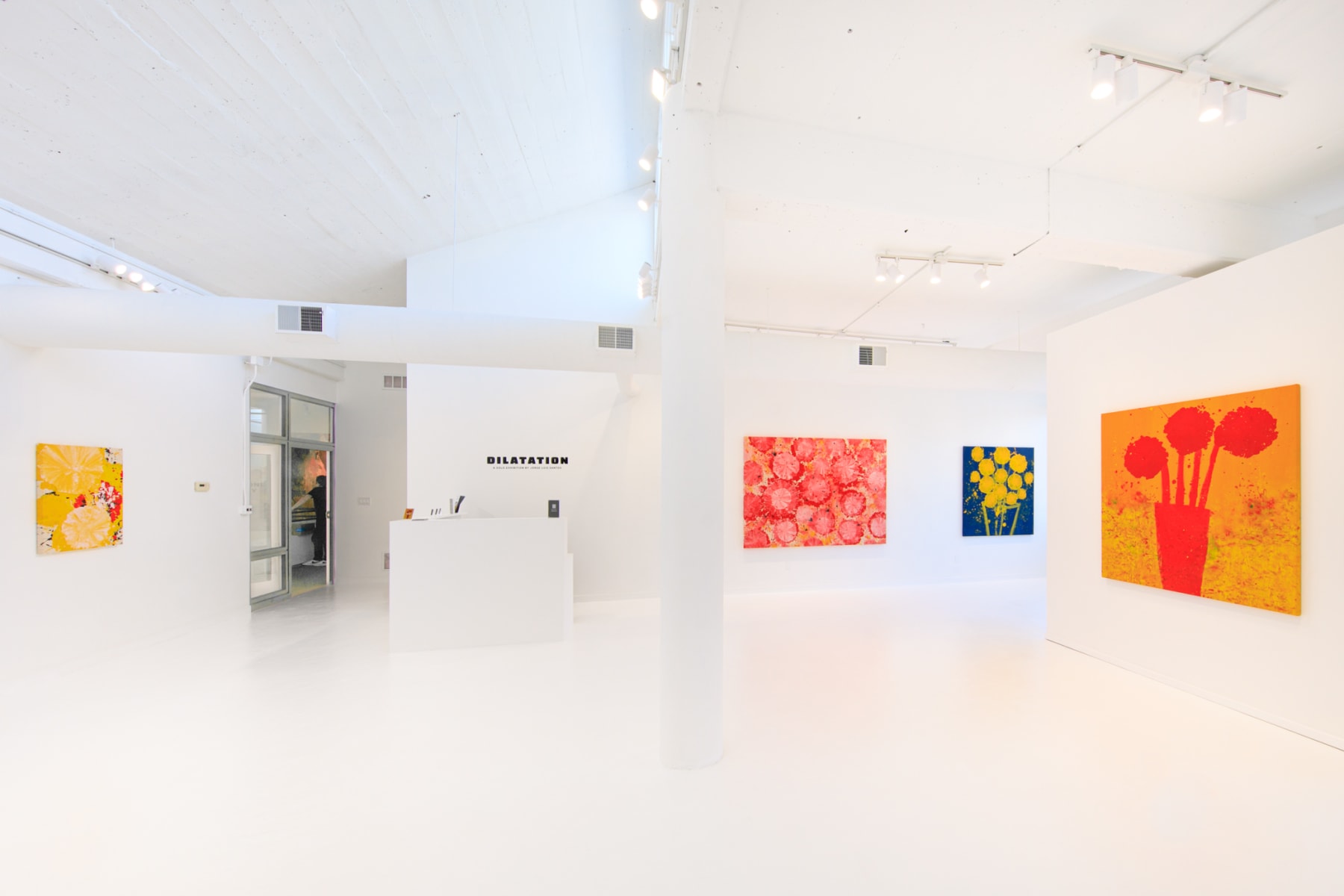 Jorge Luis Santos, "Dilatation", installation view