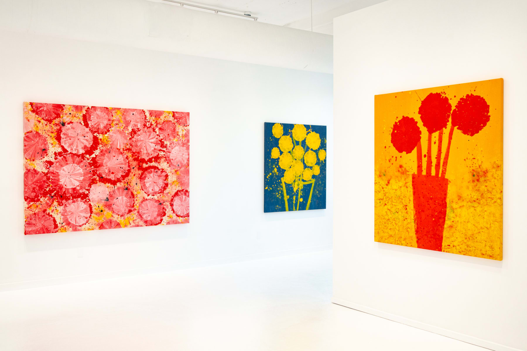 Jorge Luis Santos, "Dilatation", installation view