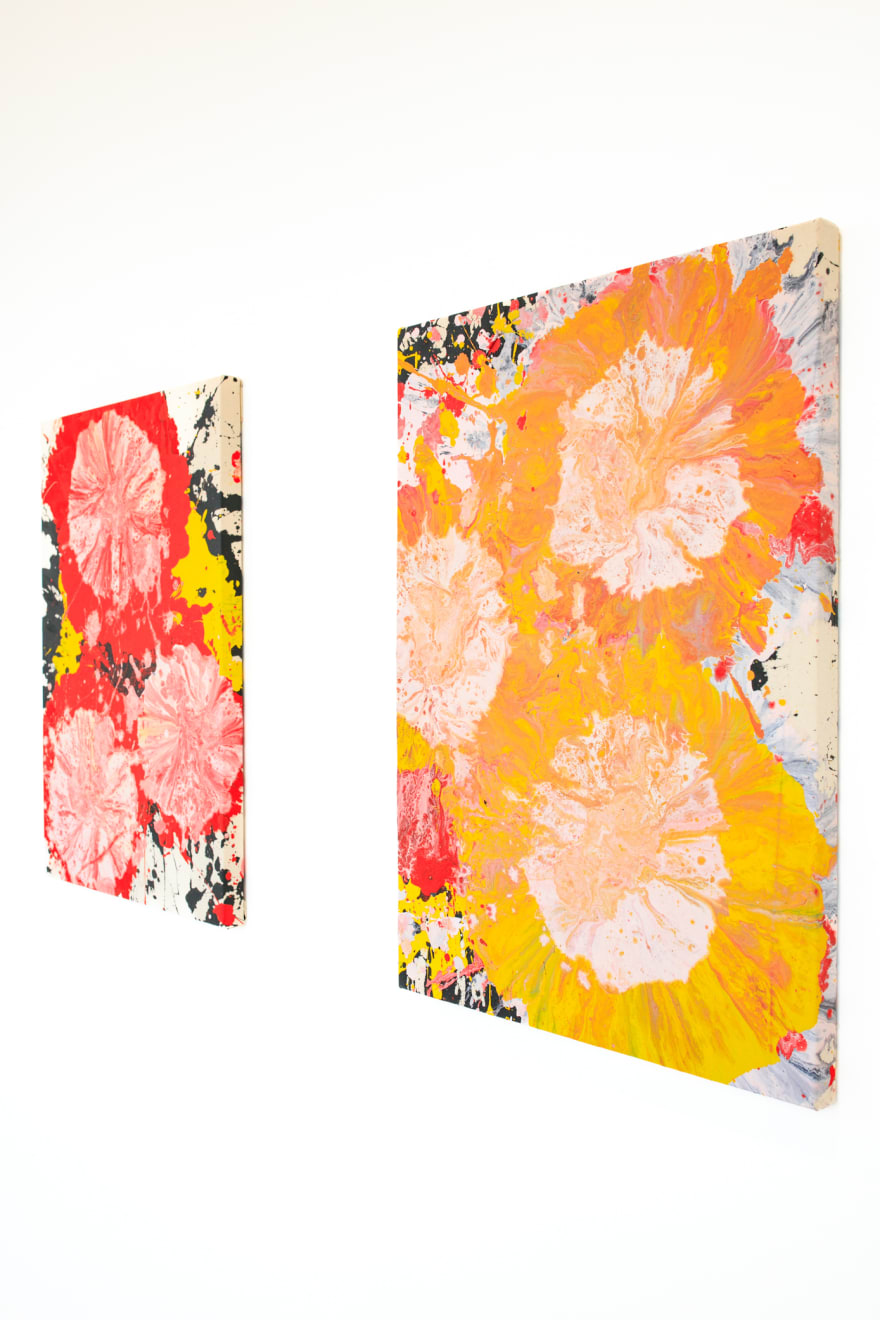 Jorge Luis Santos, "Dilatation", installation view