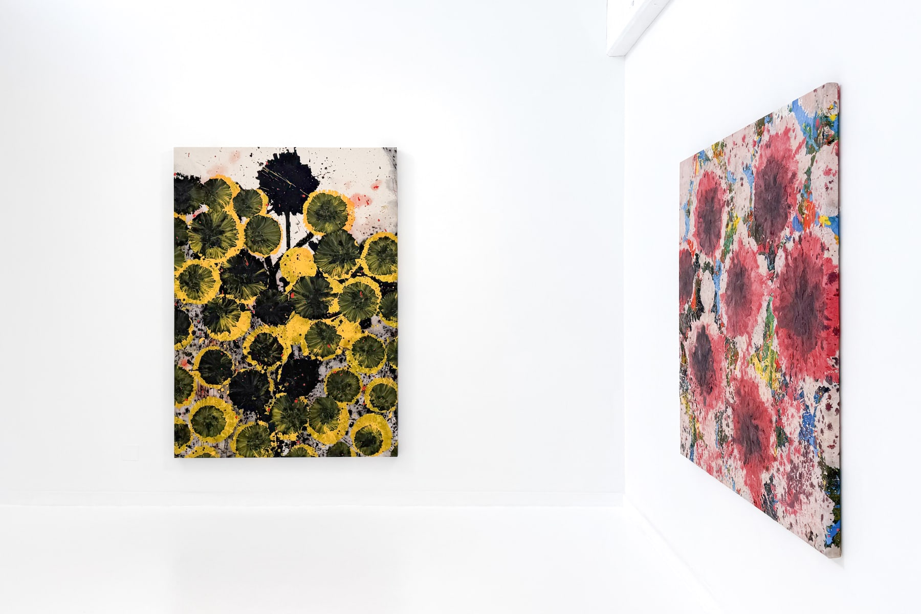Jorge Luis Santos, "Dilatation", installation view