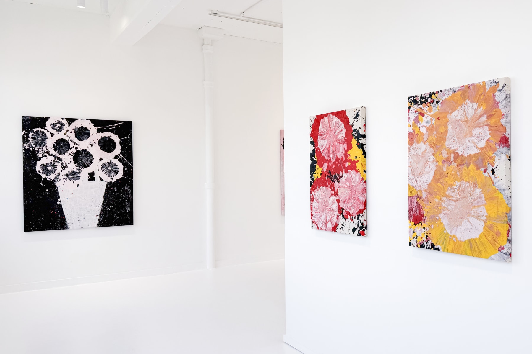 Jorge Luis Santos, "Dilatation", installation view
