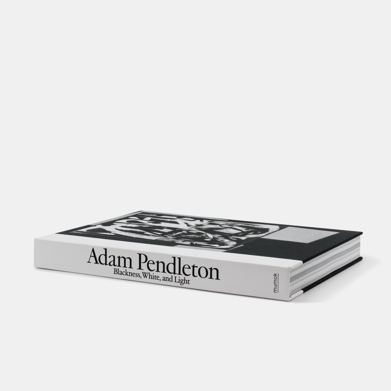 Adam Pendleton, Special Edition 35/40, 2024