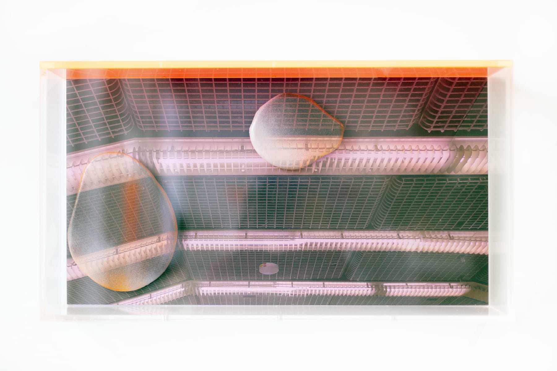 Repro Osofc No26 Final Usm 2025 05