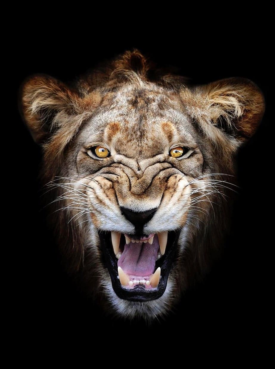 Timothy Dunn, MR WRINKLE (COLOUR) , 2022