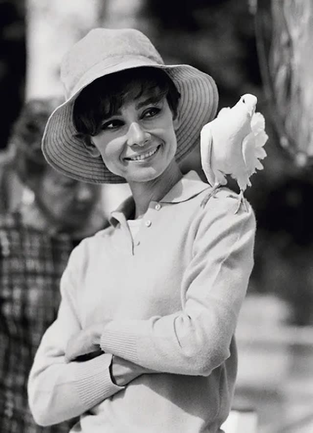 Terry O'Neill, Audrey Hepburn With Dove (Lifetime signed) , 1966