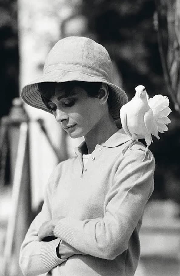 Terry O'Neill, Audrey Hepburn with Dove (POSTHUMOUS), 1966