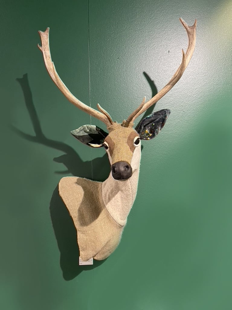 Carola van Dyke, Fey