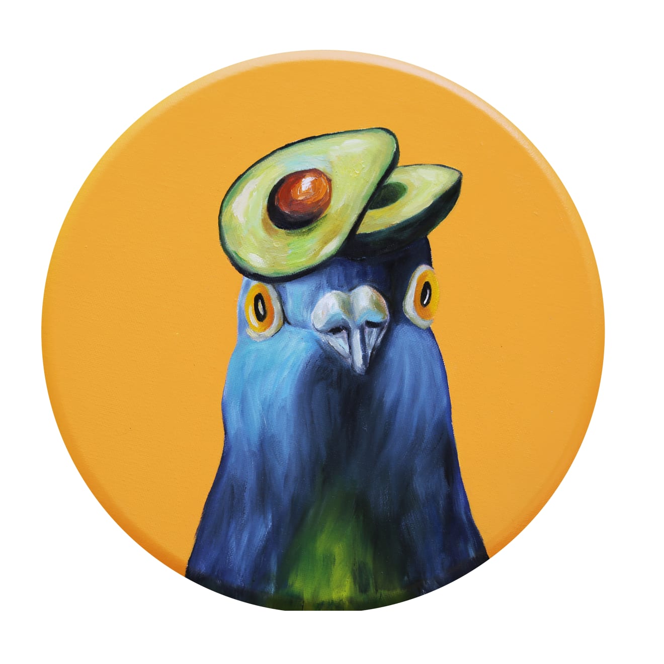 JJ Galloway, Avocado Ascot, No.2