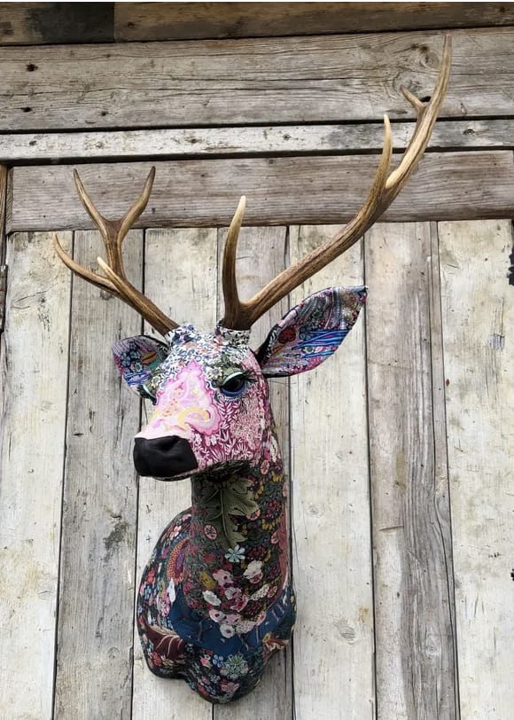 Carola van Dyke, Rey