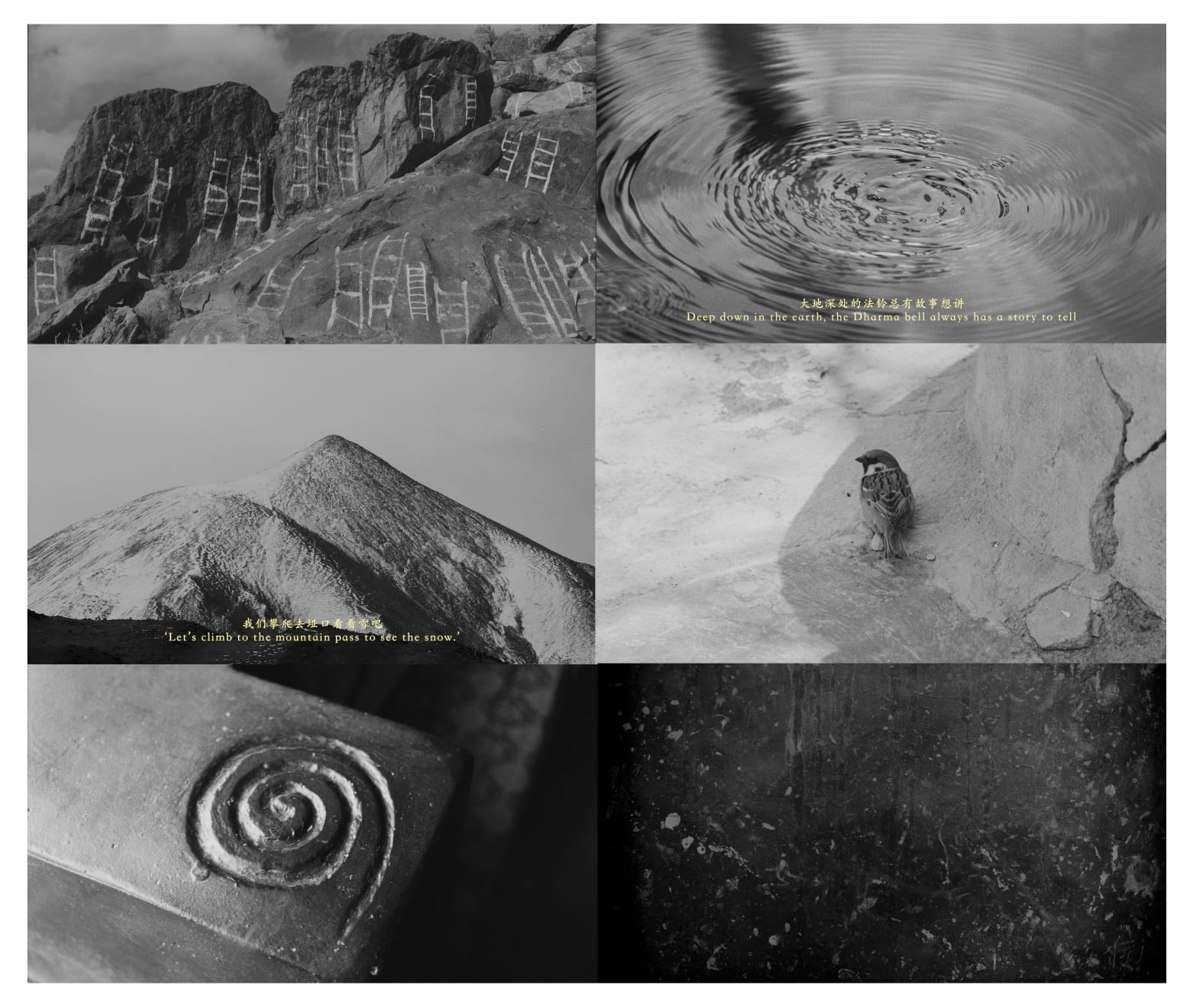 The Visions of Karma, 4K, single-channel B/W video, 15'35'', 2024, Ed.3 + 2 AP