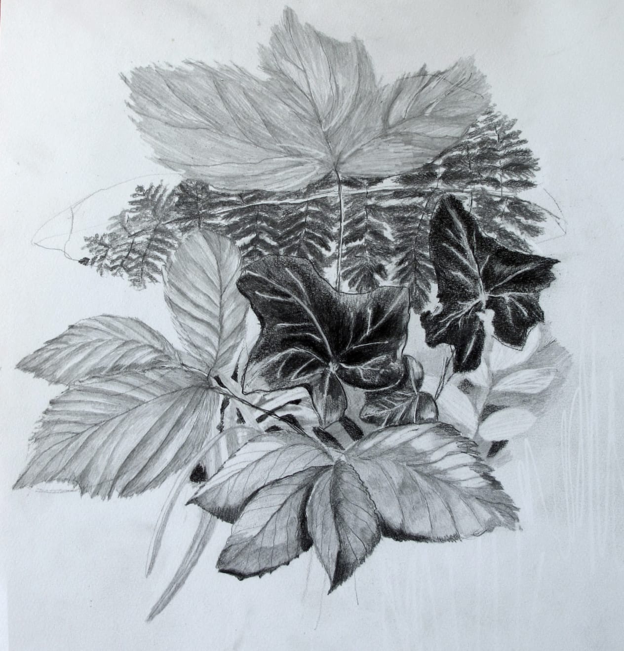 beatriXbraun, Pflanzenstilleben, 2017