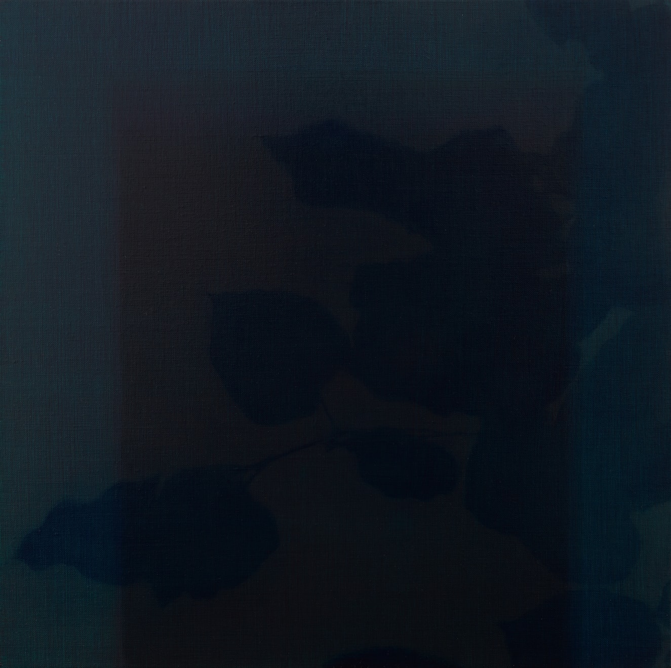 Brooke Fitzsimons , LEAVES, 2019