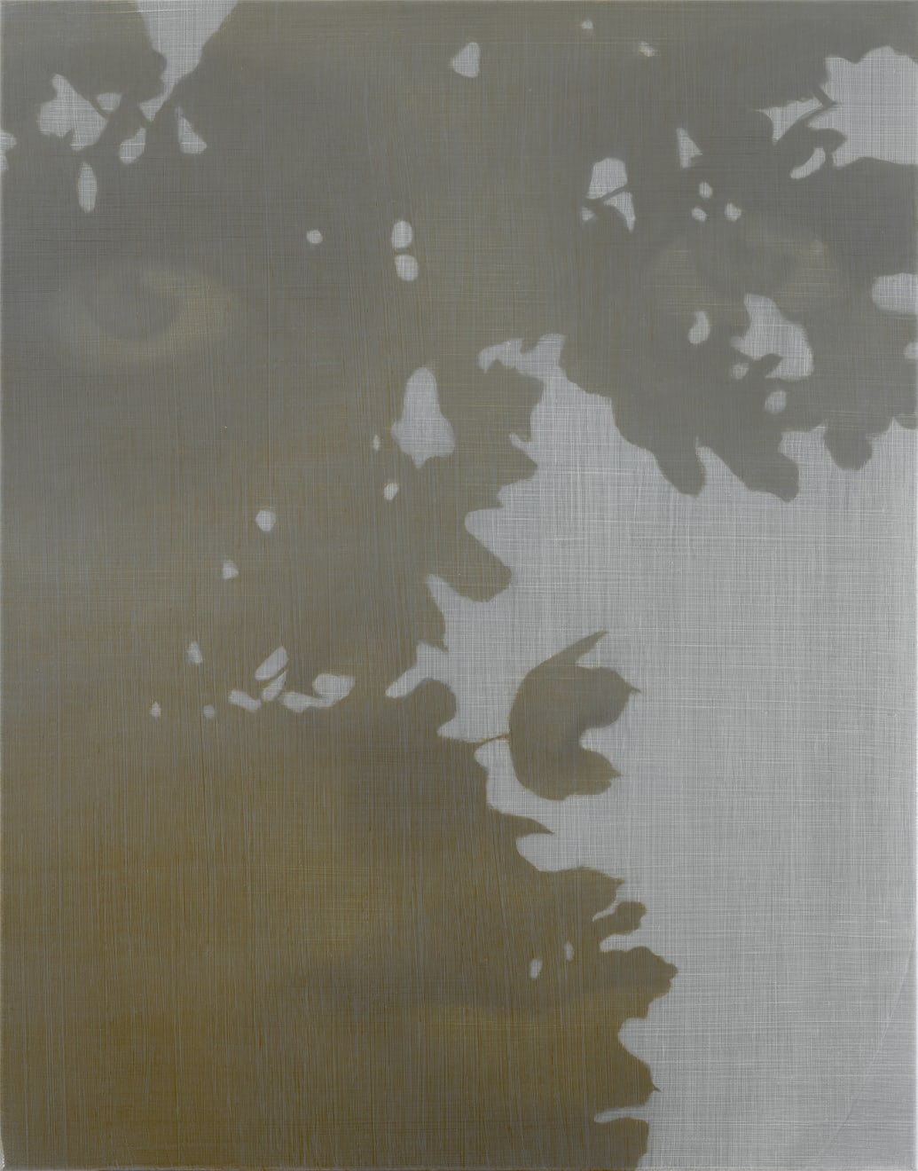 Brooke Fitzsimons , REFLECTION , 2021