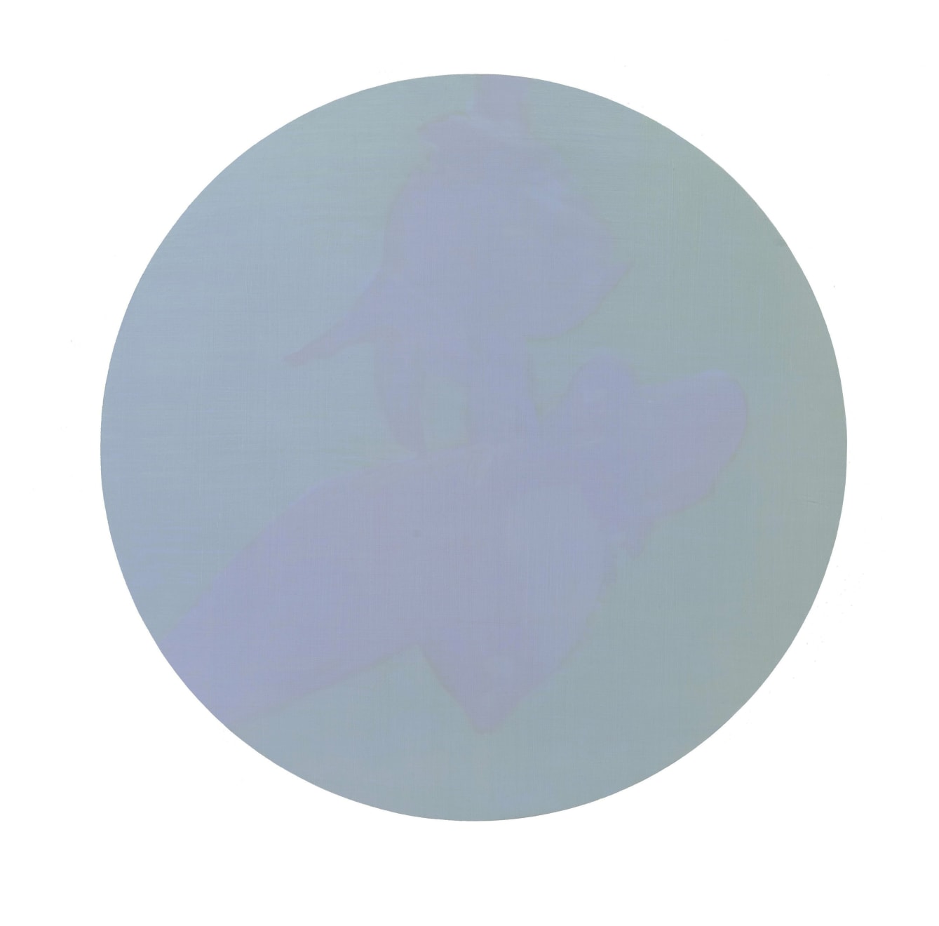 Brooke Fitzsimons , EVANESCENCE, 2009