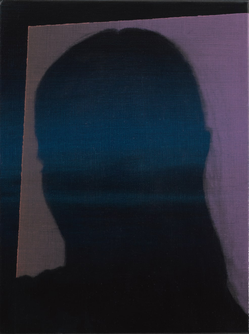 Brooke Fitzsimons, IN PLANE VIEW, 2022