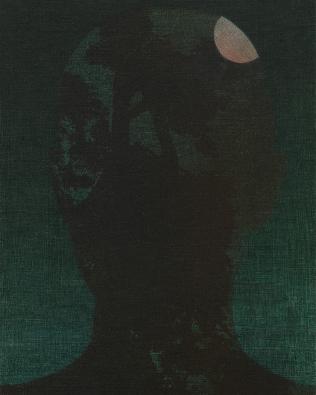 Brooke Fitzsimons, LIT, 2022