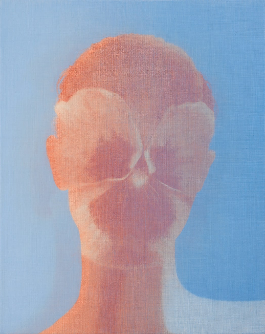 Brooke Fitzsimons, FACE (pansy), 2023