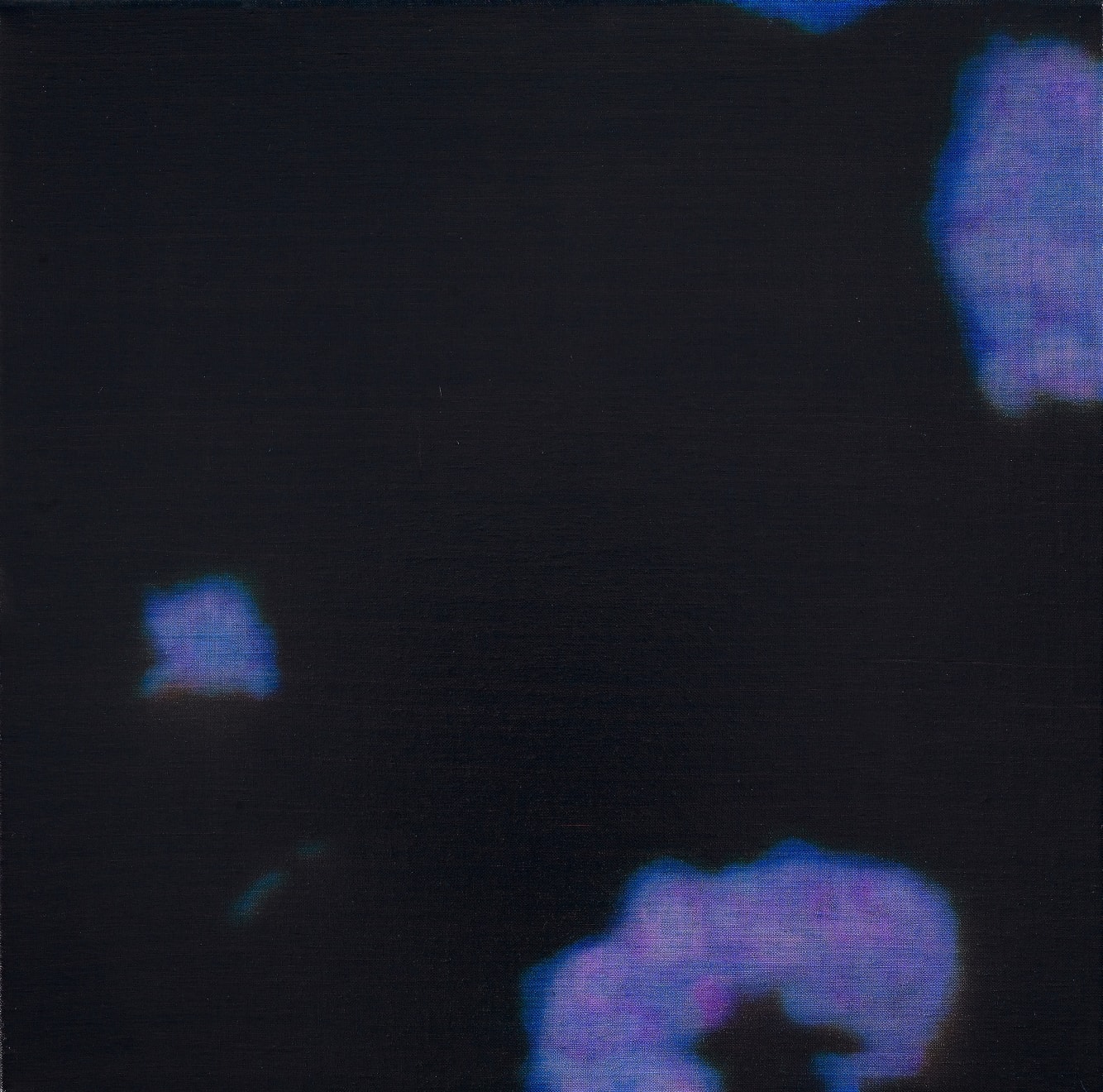 Brooke Fitzsimons , FLOAT, 2006