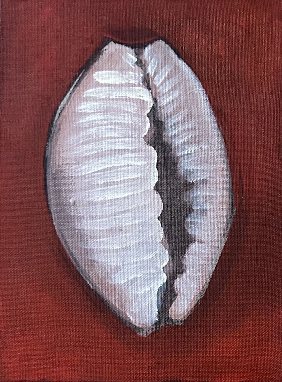 Coquillage (Cypraea Monetaria Moneta), 2025