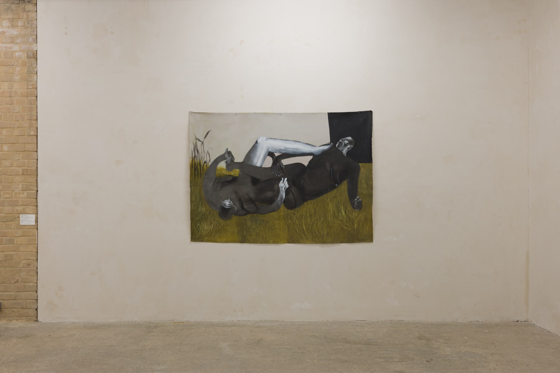Shadi Al-Atallah, Unruly Bodies, Installation View, Goldsmiths CCA (2023)