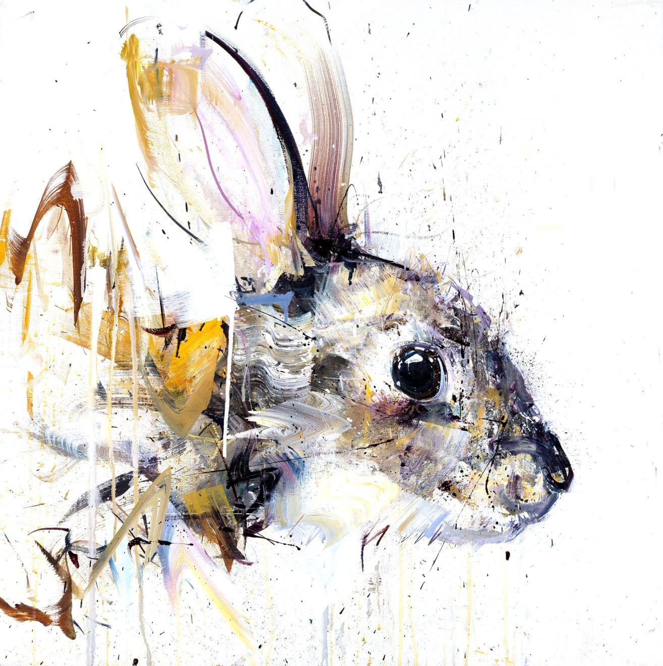 Dave white rabbit cheap
