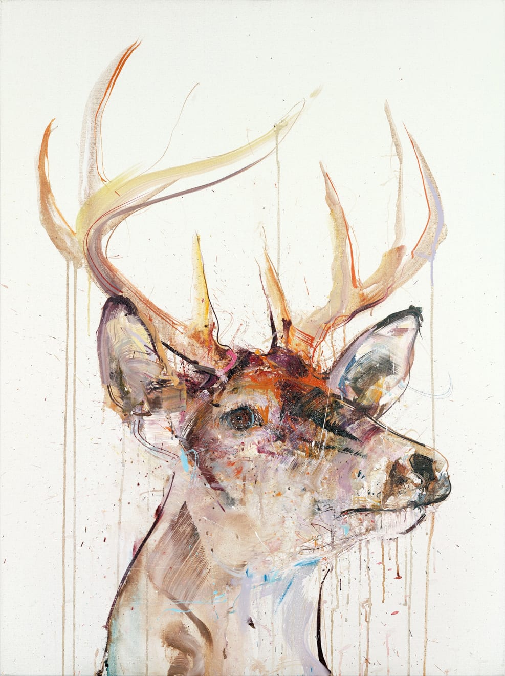STAG IV, 2015