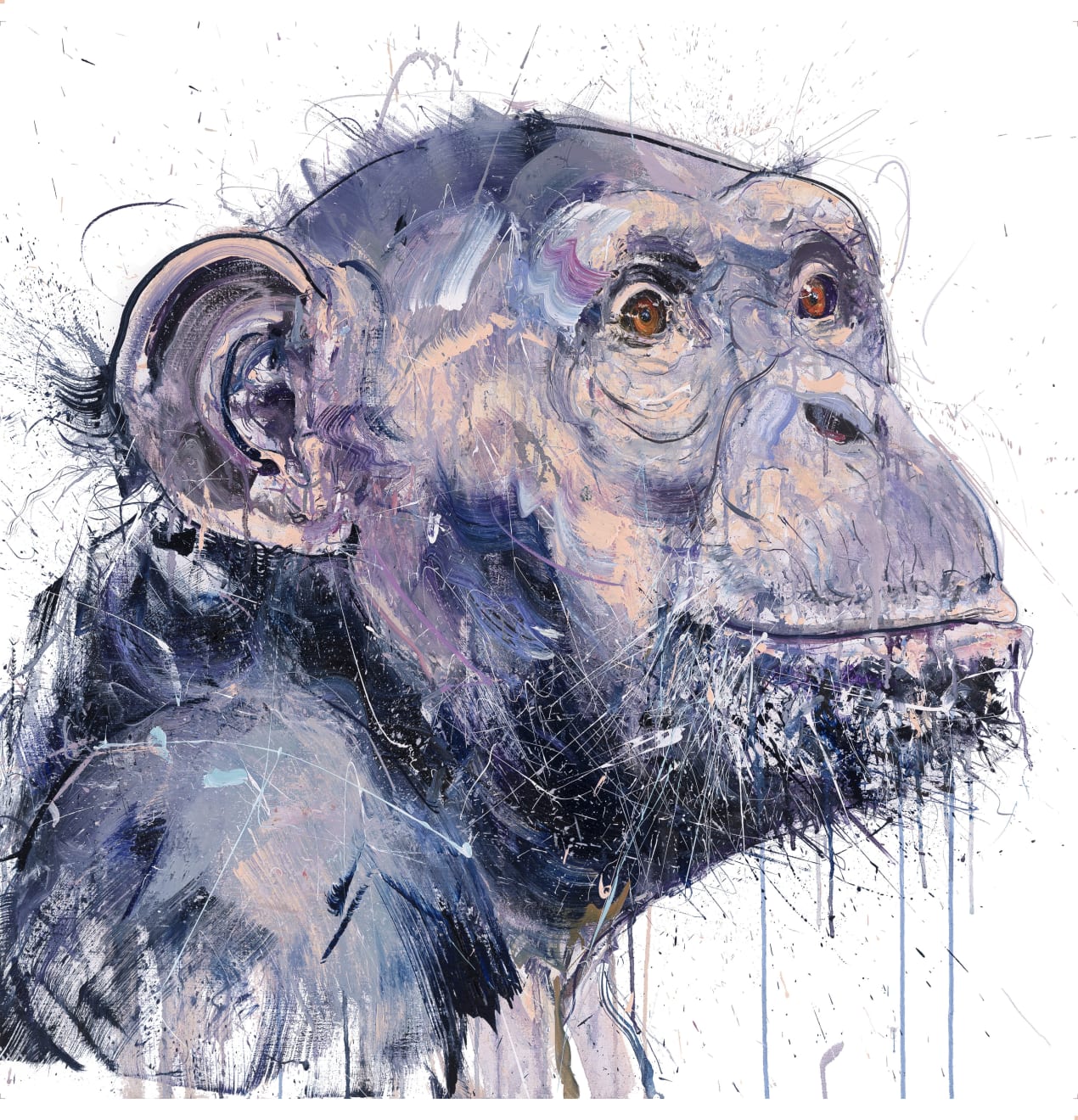 Old Chimp I