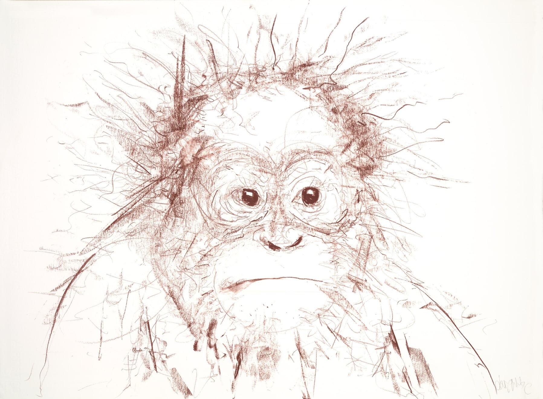 Orangutan II, 2016
