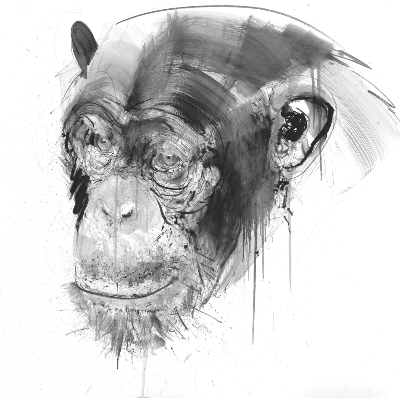 CHIMP II