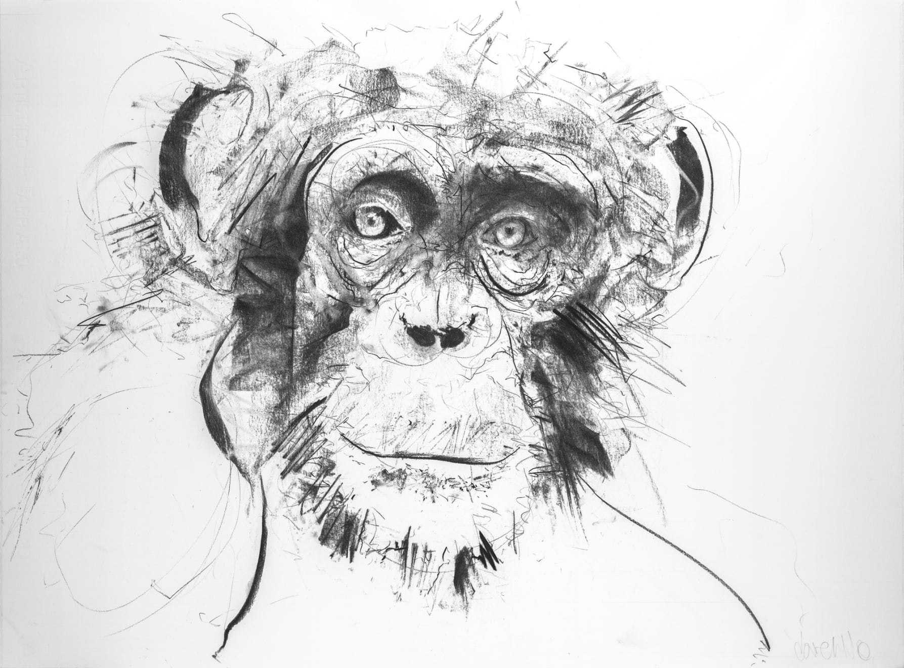 Chimp I, 2017