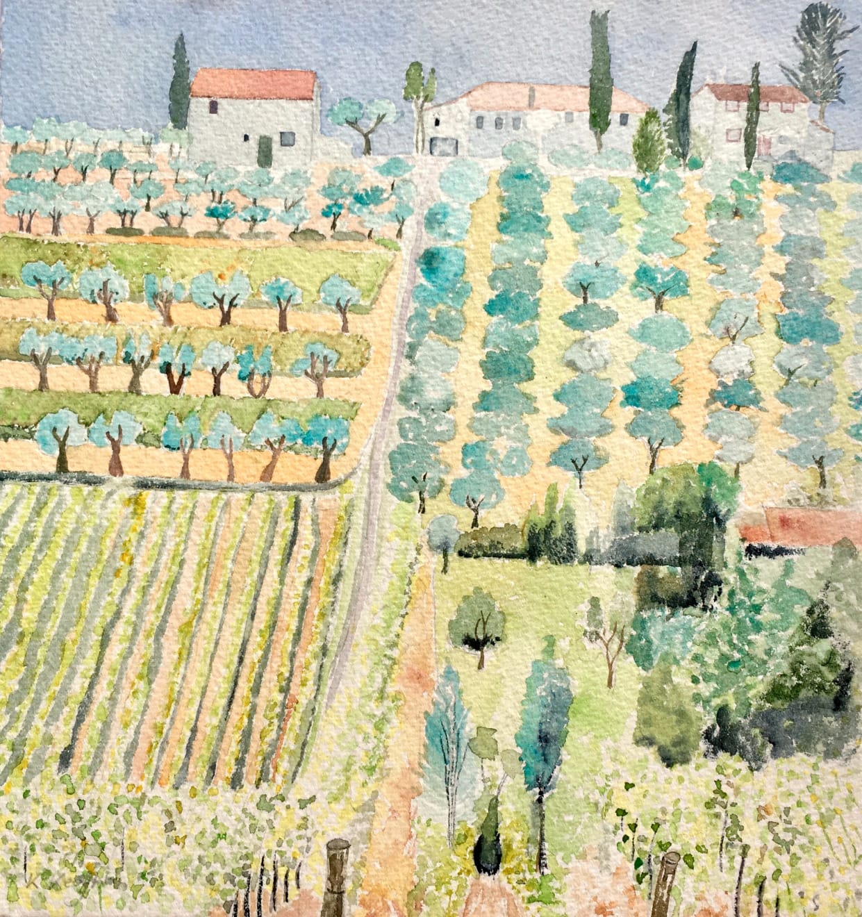 Karen Keogh, Olive Grove, Tuscany
