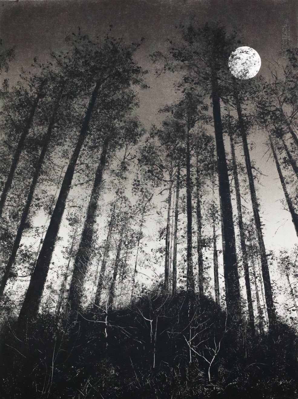 Fiona Fouhy, Librating, 2024