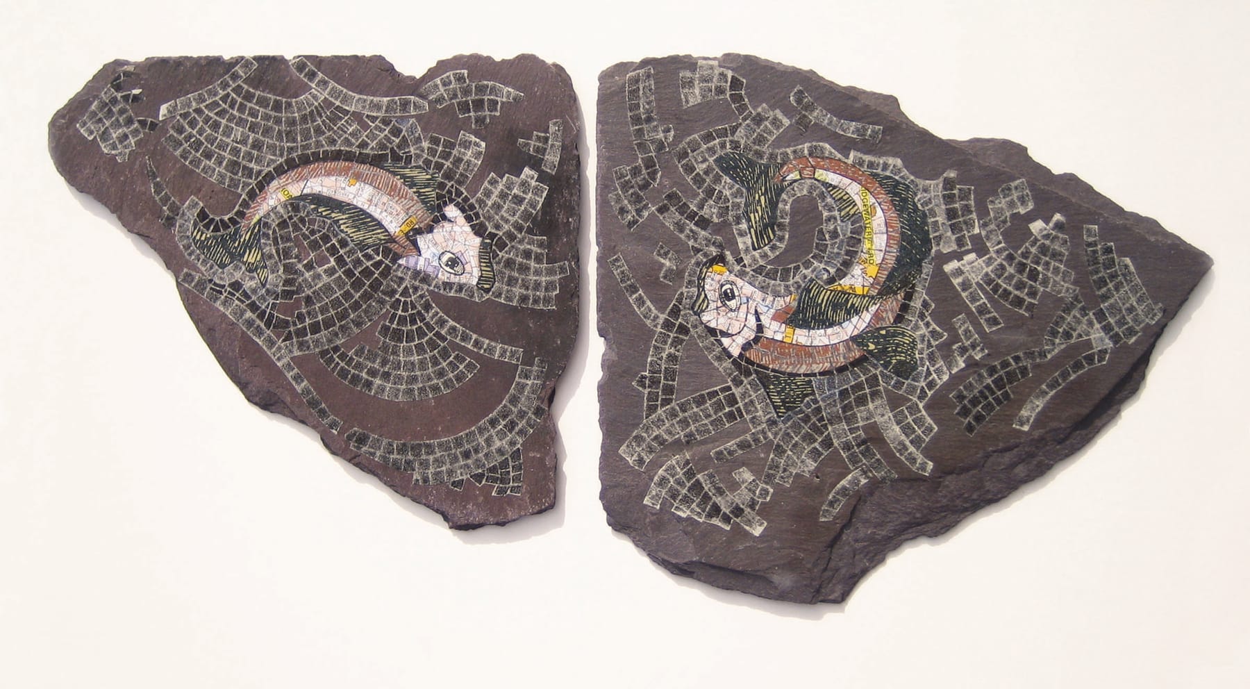 Anne Desmet, Fish Floor II, 2007