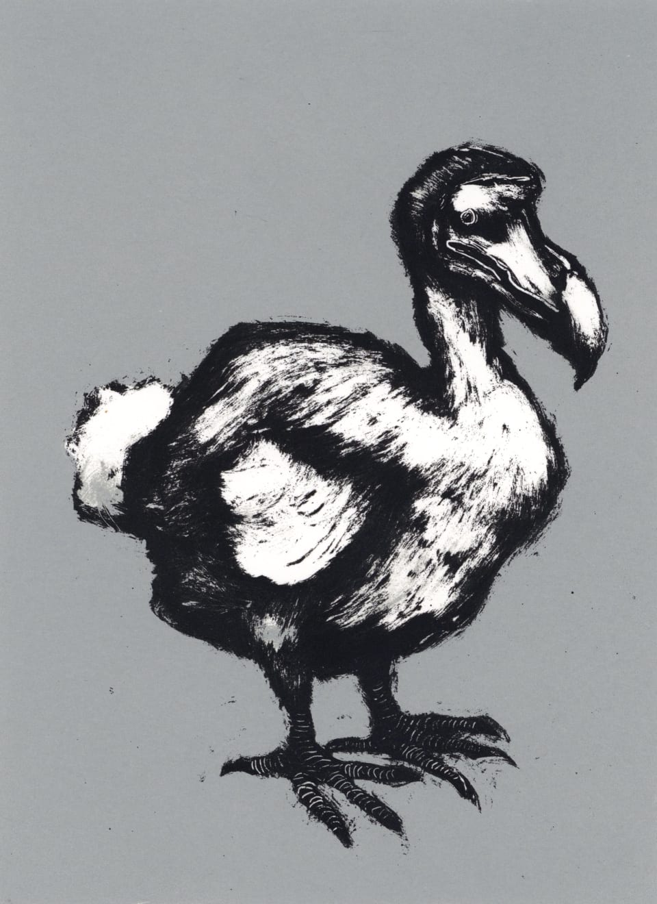 Mychael Barratt, Dodo I, 2022