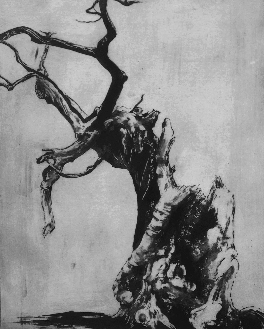 Christmas Secret Bid Auction 2025, LOT 61: Blaze Cyan - Windsor VII, 2014