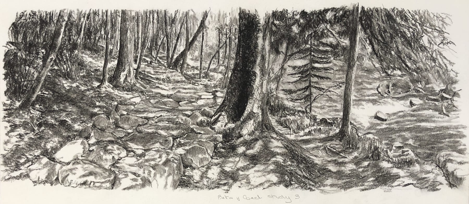 Austin Cole, Betws-y-Coed Study 3