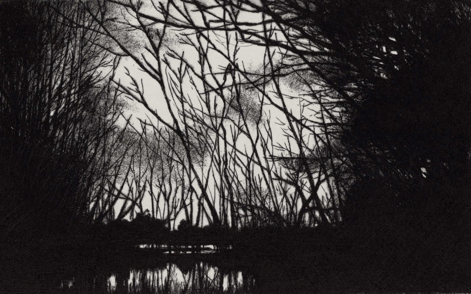 Blaze Cyan, Frensham Ponds, 2023