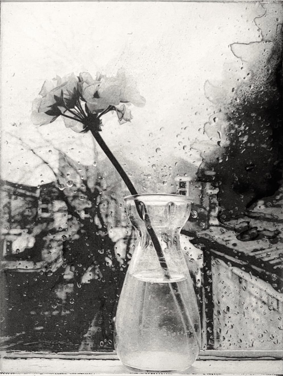 Lucy Bainbridge, Patience X, 2022