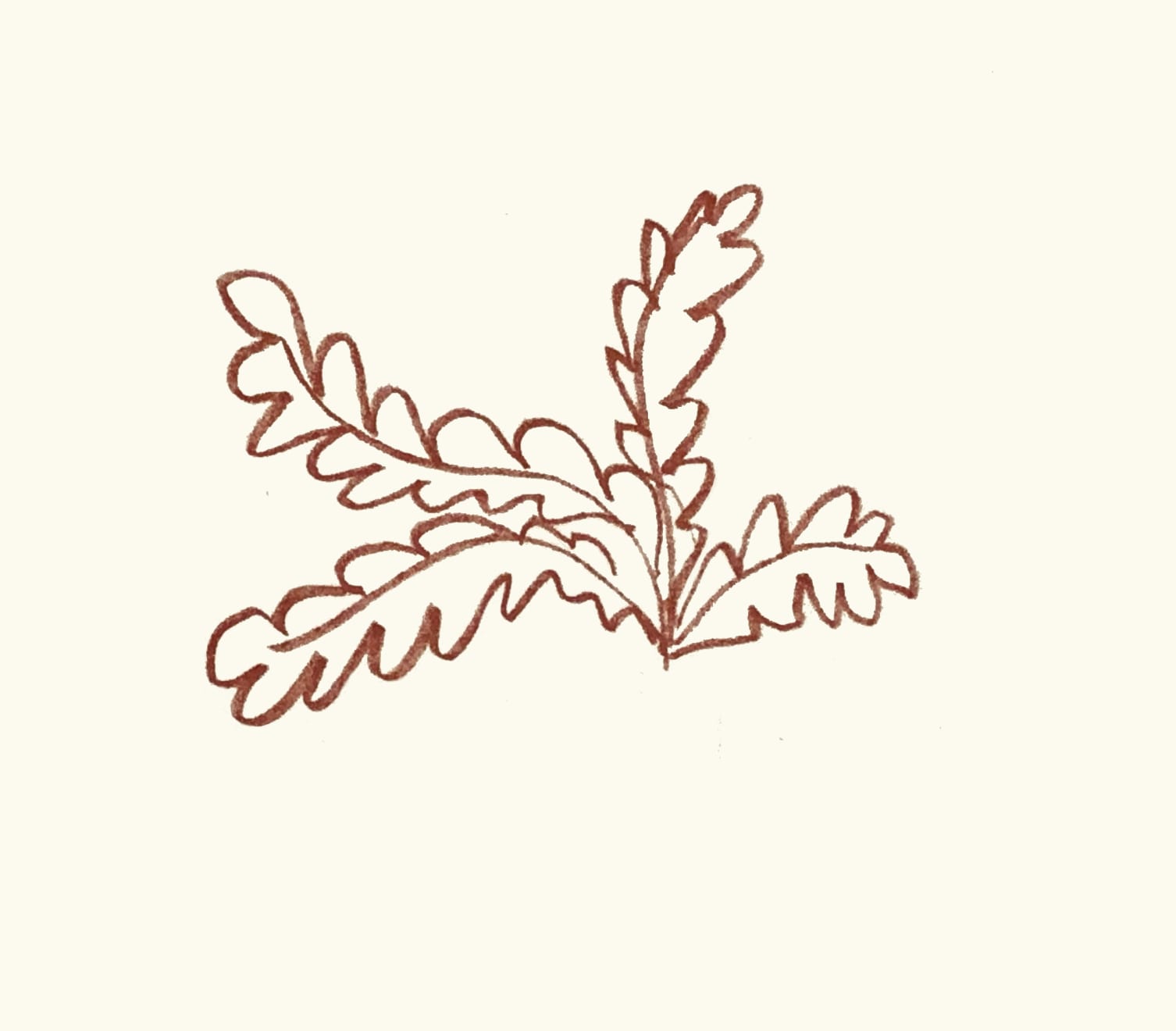 Henri Matisse, Plate 29. Florilège des Amours de Ronsard , 1948