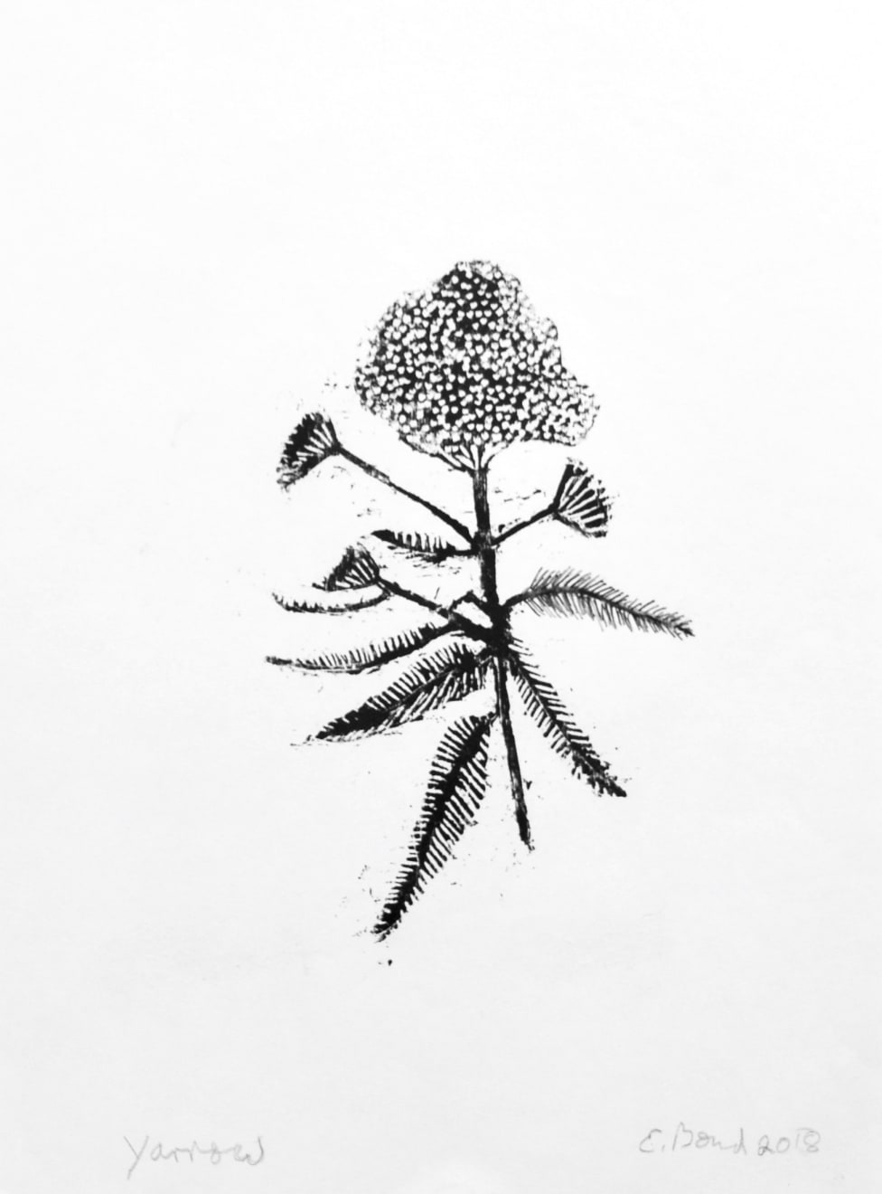 Summer Auction 2021, LOT 18: Elisabeth Bond - Yarrow, 2018