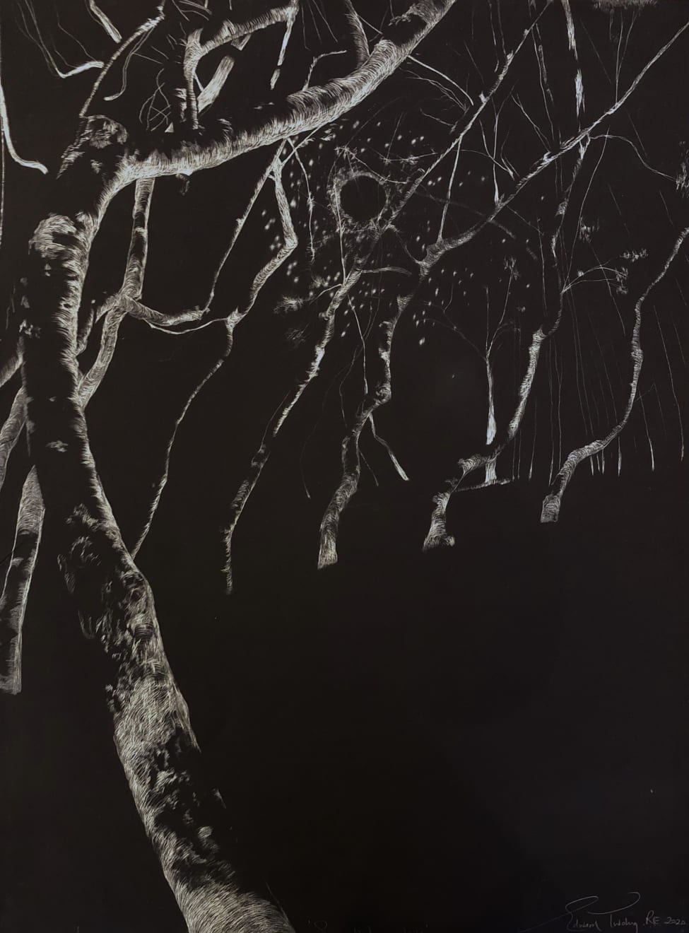 Edward Twohig, Super Moon 9.iv, 2020